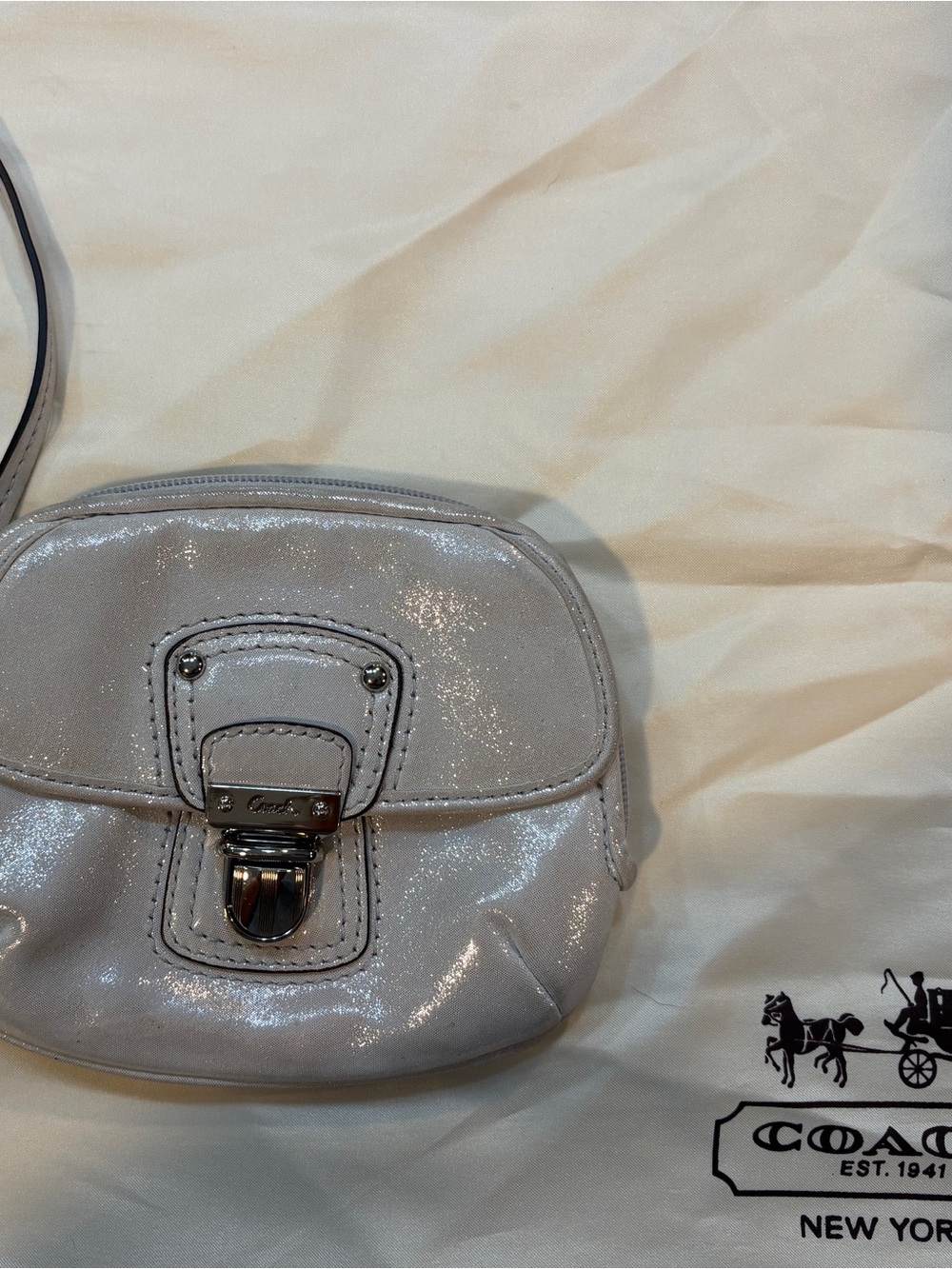 Coach Shimmery Light Silver wristlet Bag